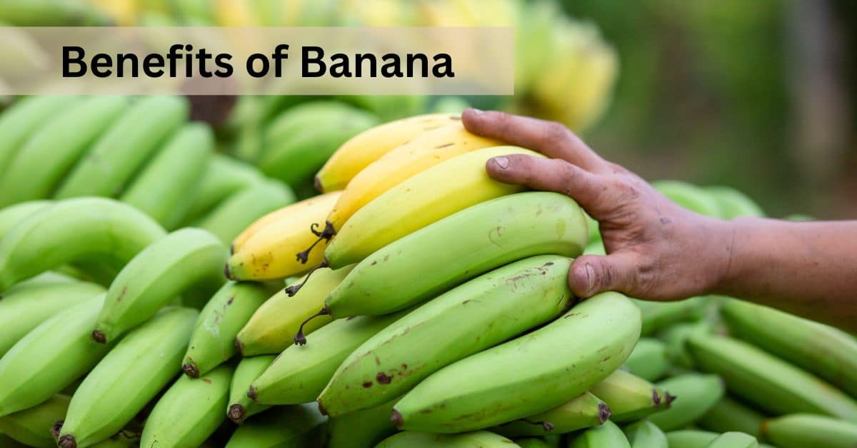 Benefits of Banana