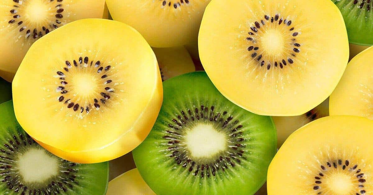 Gold Kiwi